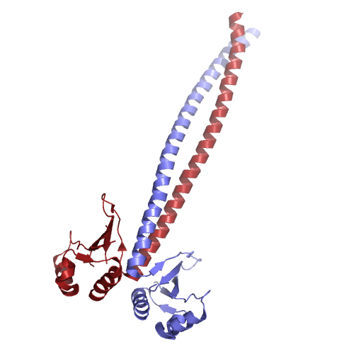 Budding-yeast Csm1