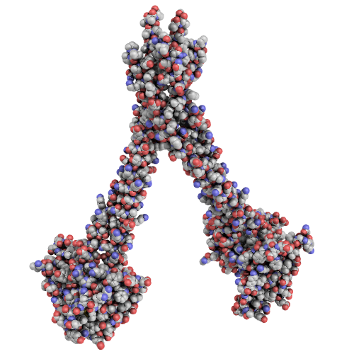 Budding-yeast Csm1:Lrs4