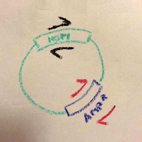 Two primer pars now, on opposite sides of the vector...
