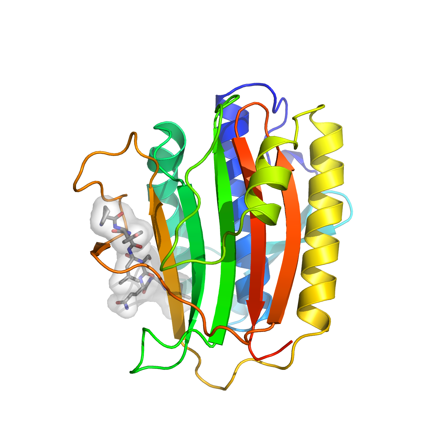 C. elegans HIM-3