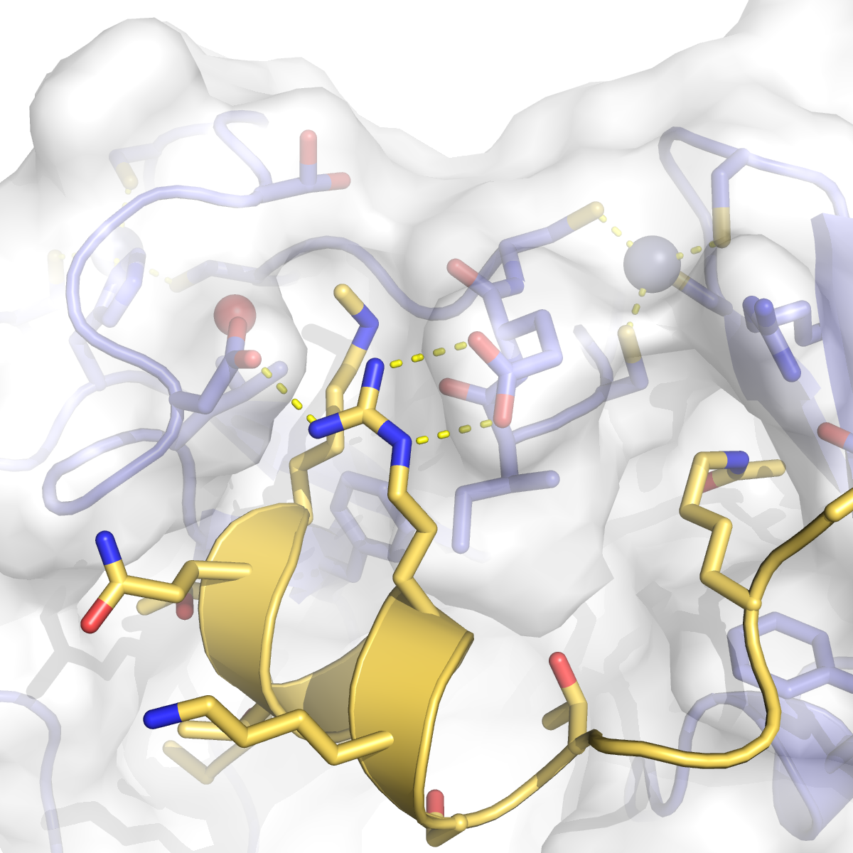 Human Dpf3:Histone H3 tail