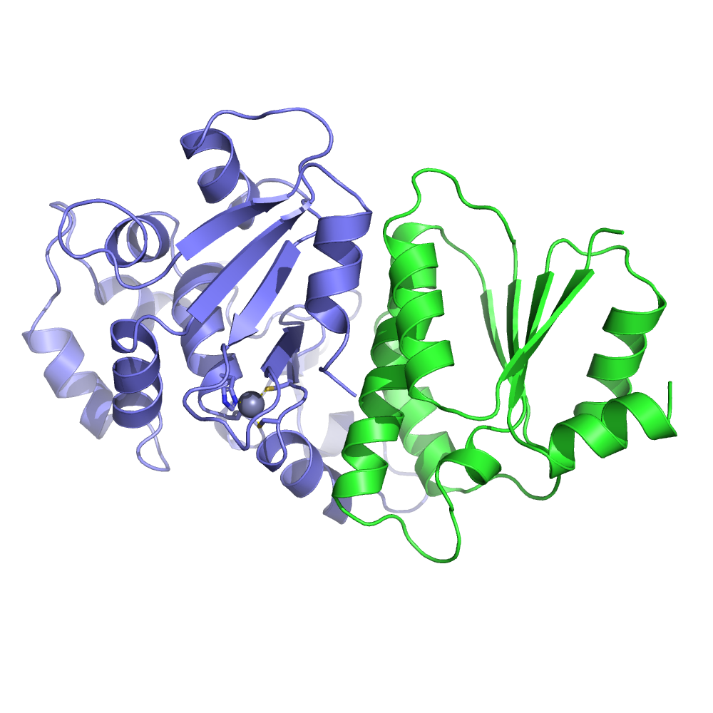 Budding-yeast Shu1:Shu2 complex