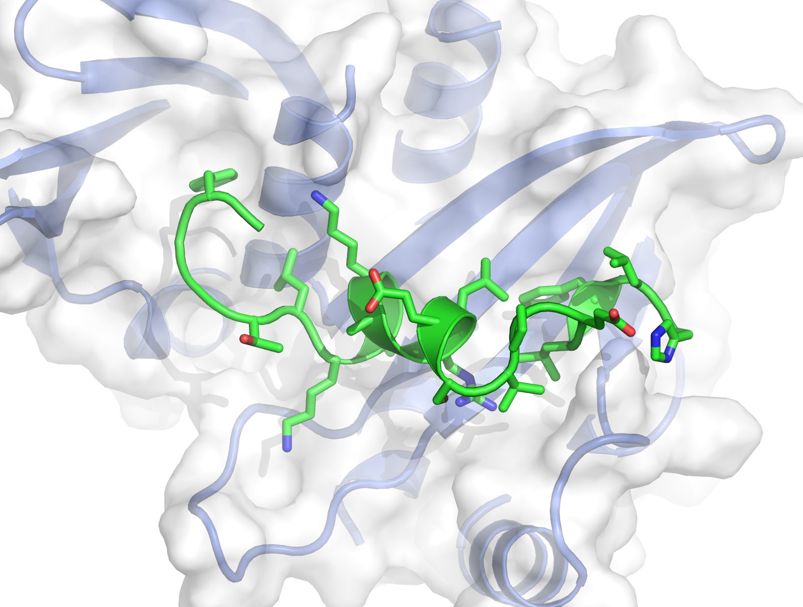 Budding-yeast Csm1-Dse3 complex