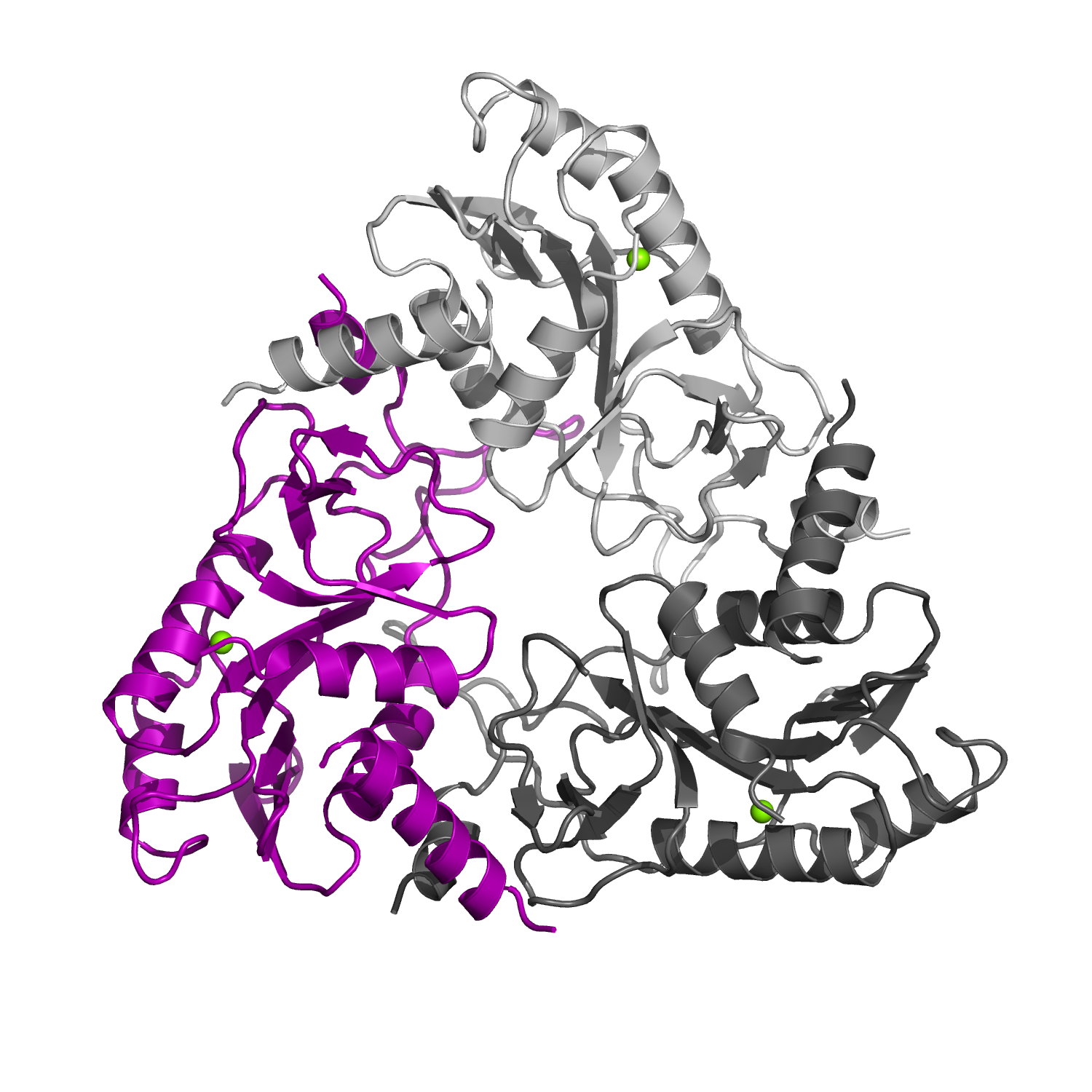 CRISPR-associated NucC