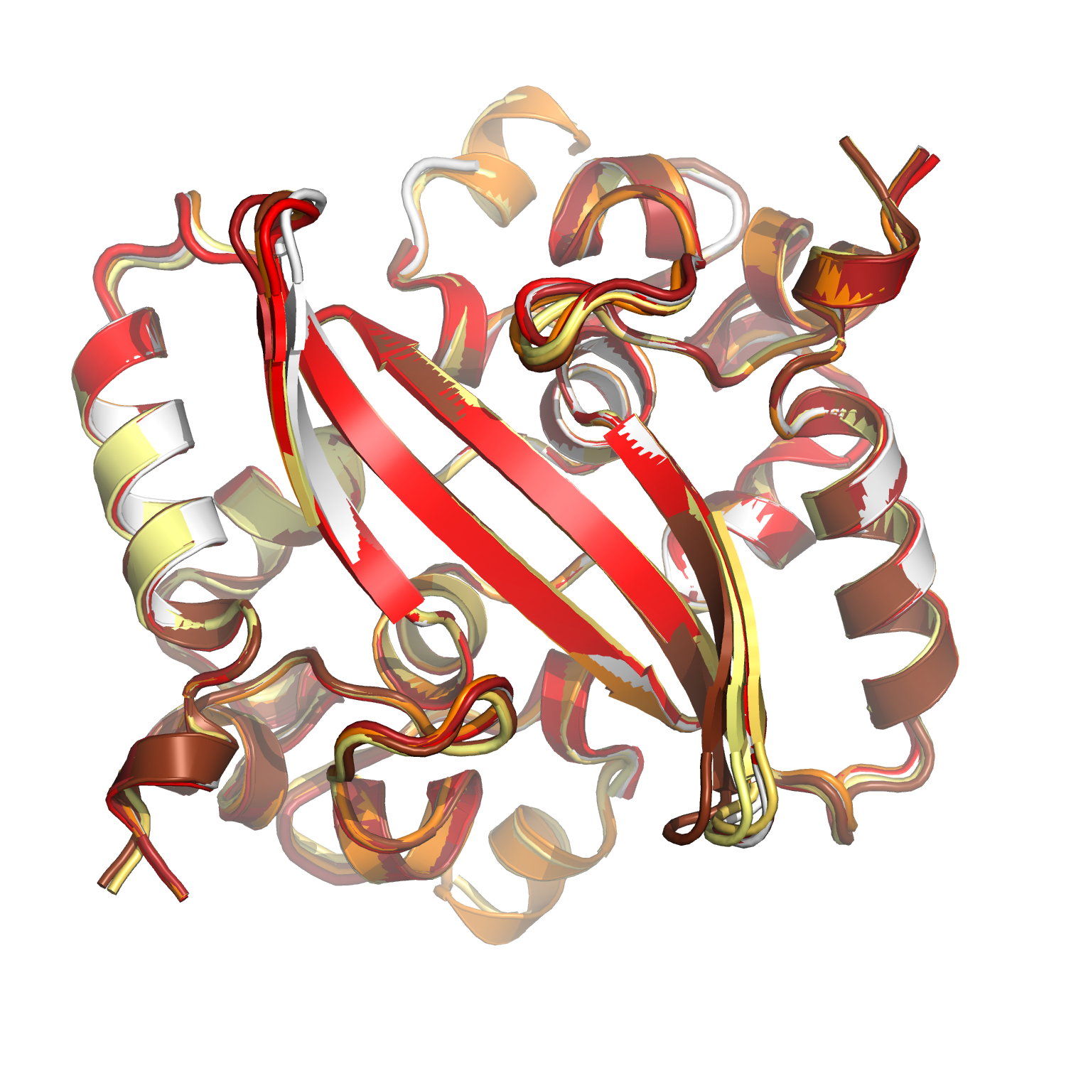 SARS-CoV-2 Nucleocapsid N2b