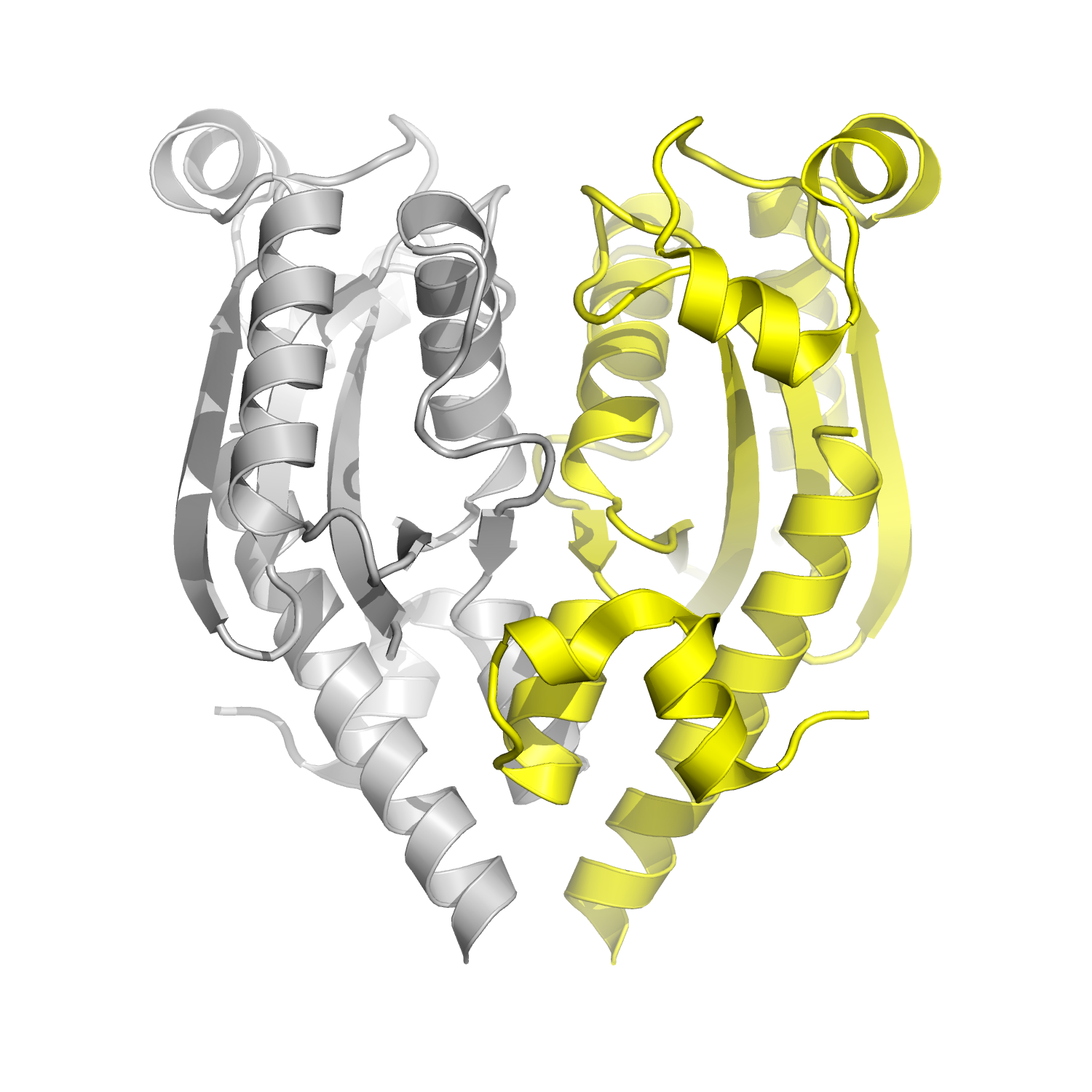 CBASS exonuclease Cap18