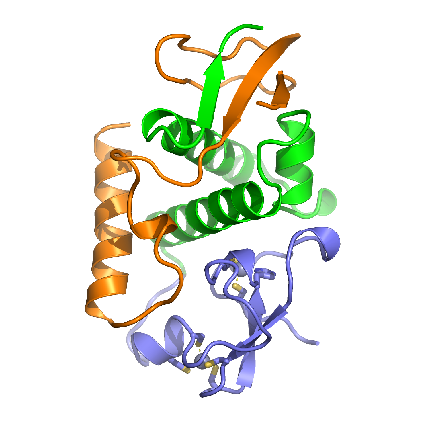 V. polyspora Hop1 CBR