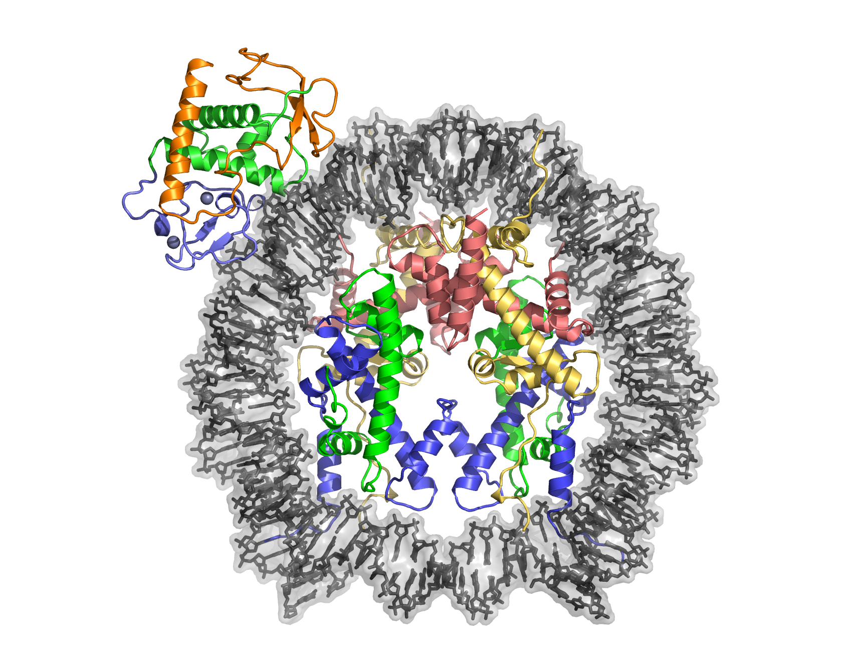 Hop1 CBR:Nucleosome complex