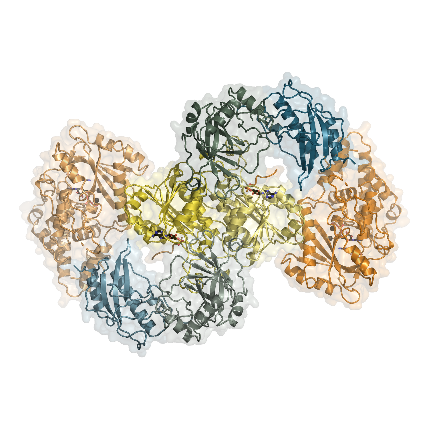 Cap2:CD-NTase complex