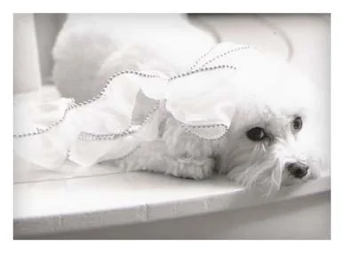 DarkEdgeLess15 small.jpg