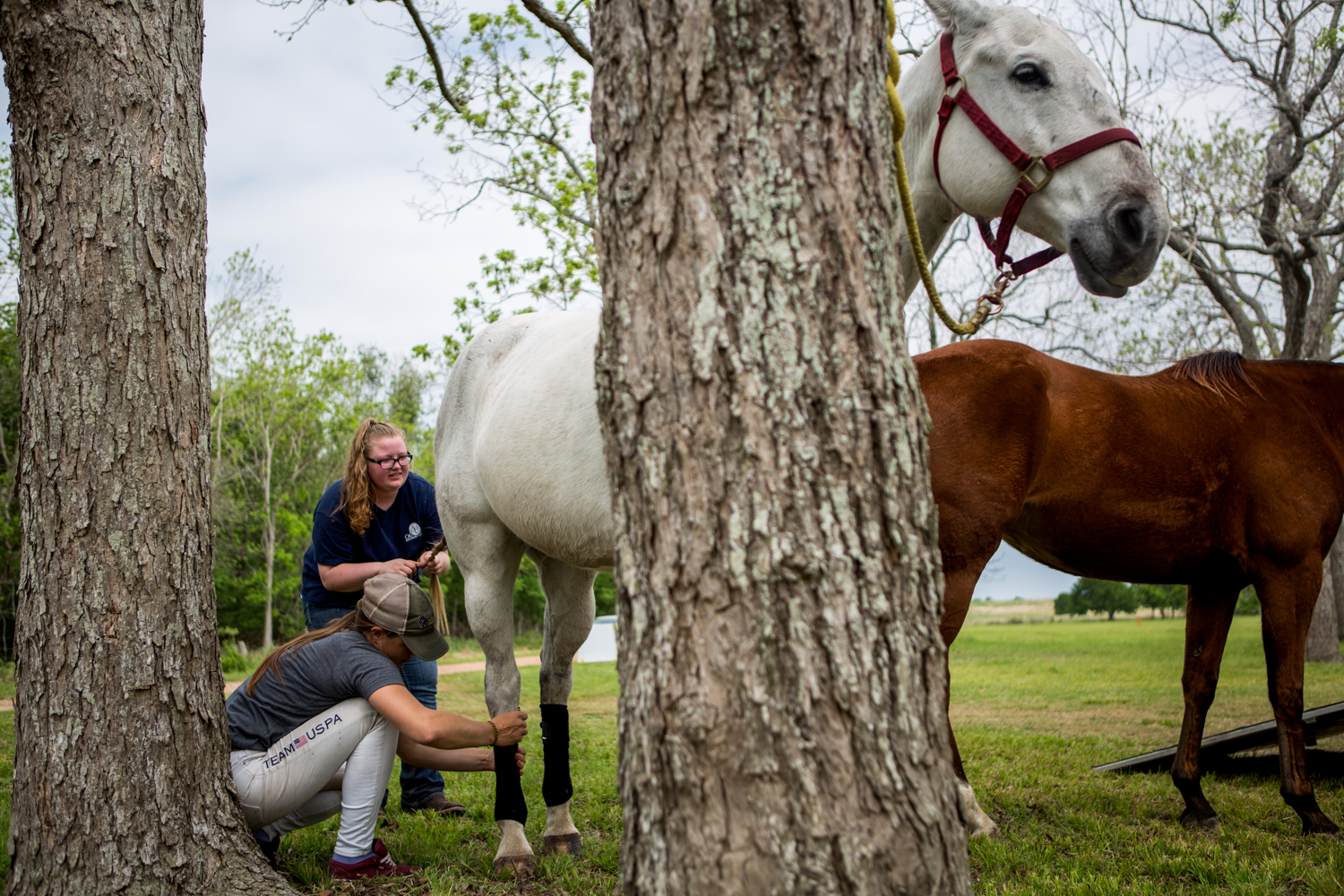 Hudspeth and her groom Erica wrap the horses' legs before a charity polo match in McFaddin, Texas, a small unincorporated community near Victoria, Texas. The wraps, made of fleece, are used to protect the horses legs and to provide support during games.