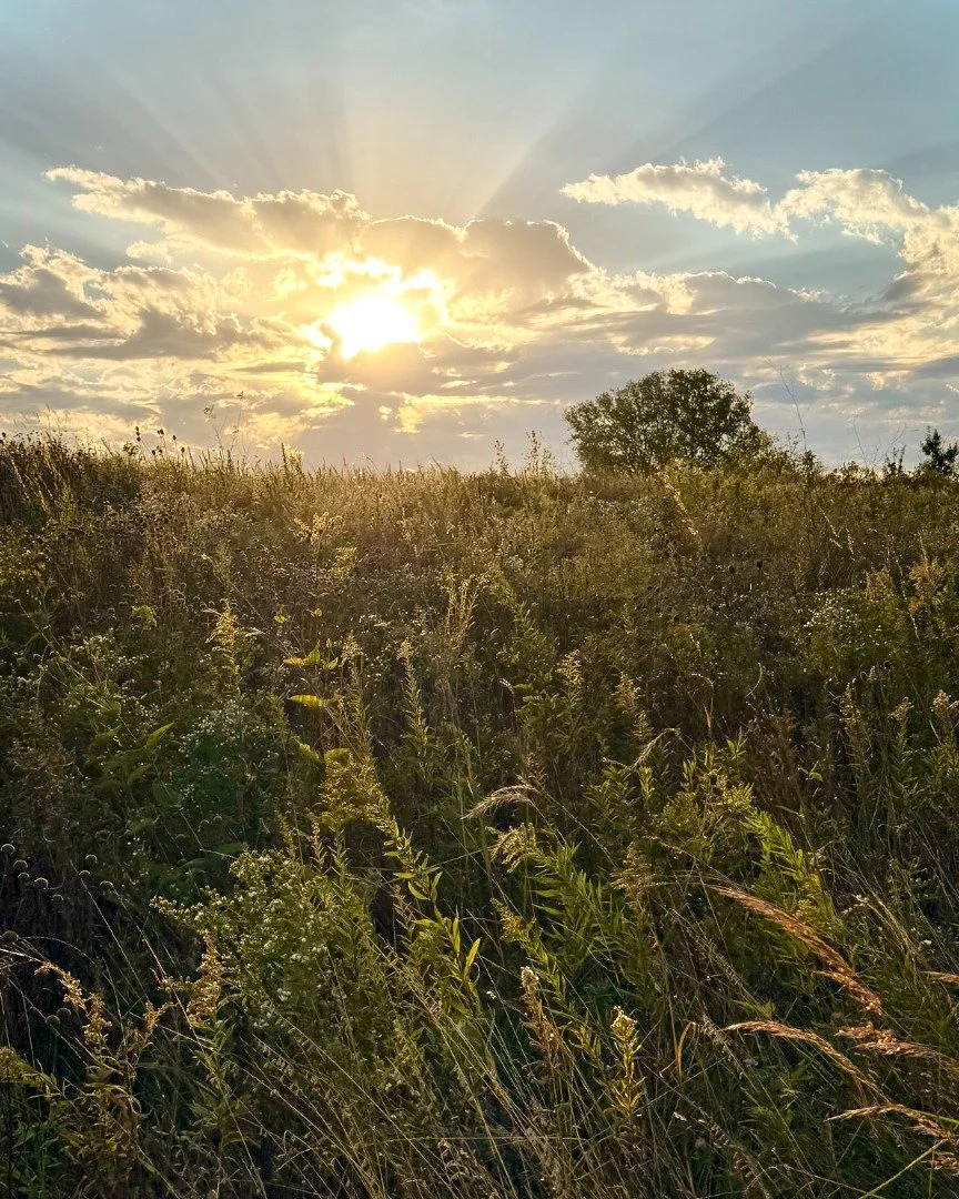Experimenting with HDR file workflows...may delete later :). Nice hike at Whitetail this morning.