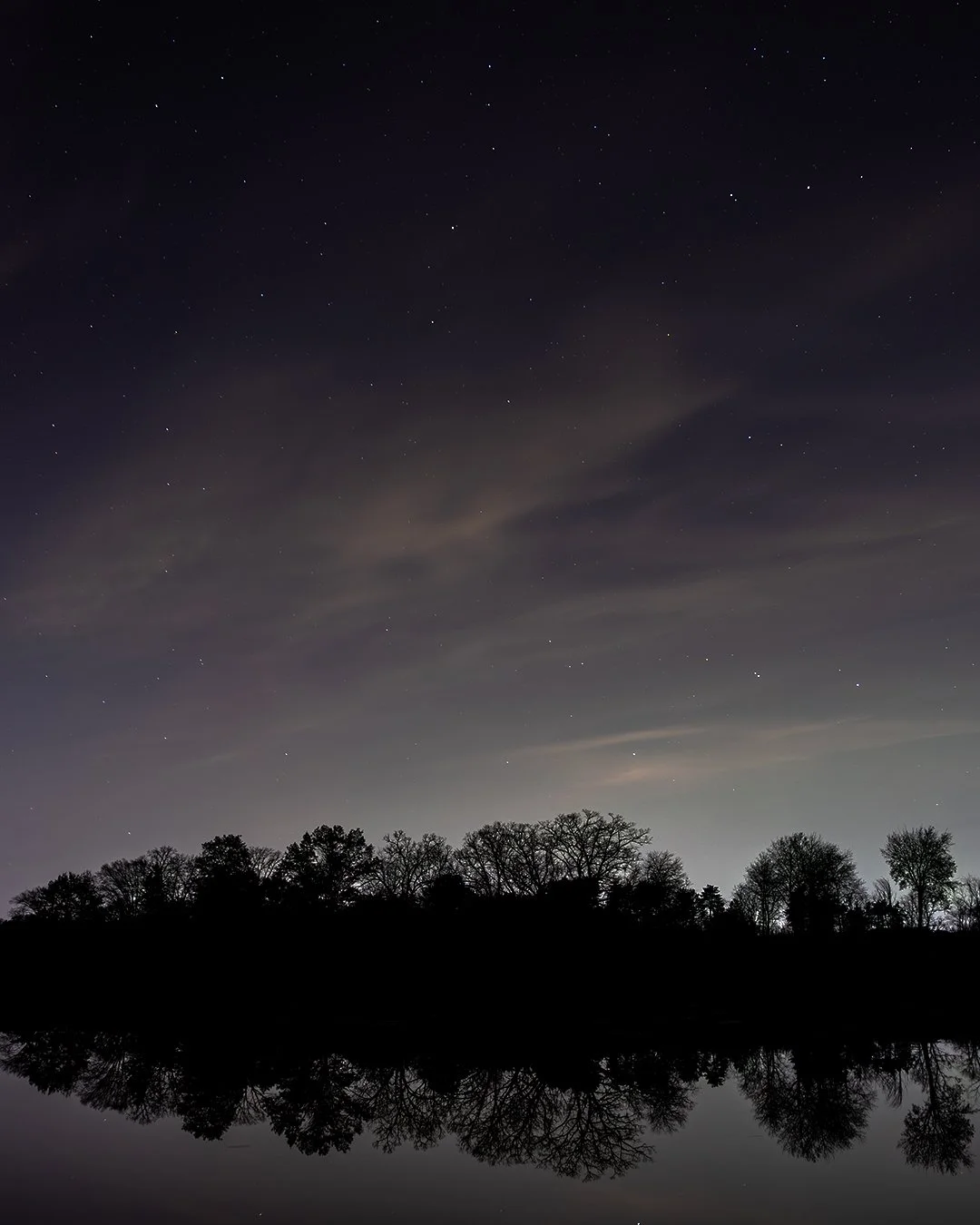 While I didn't catch any of the aurora borealis last night, it was so fun to take part in the hunt. So many others were at the park in the dark with their tripods, iPhones, friends and bundled up kids...all with our eyes on the skies. :)