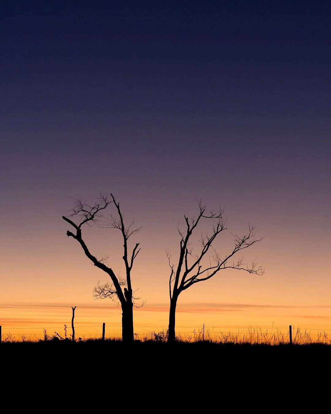 Sunday Morning - NE.