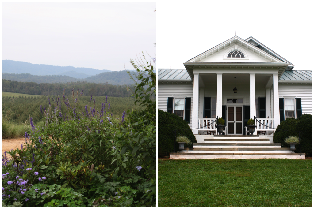 The house and the VIEW!