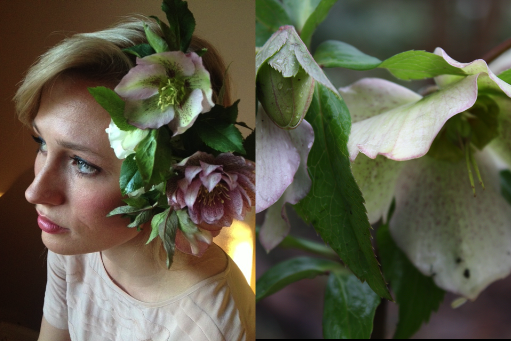 flower crown.png
