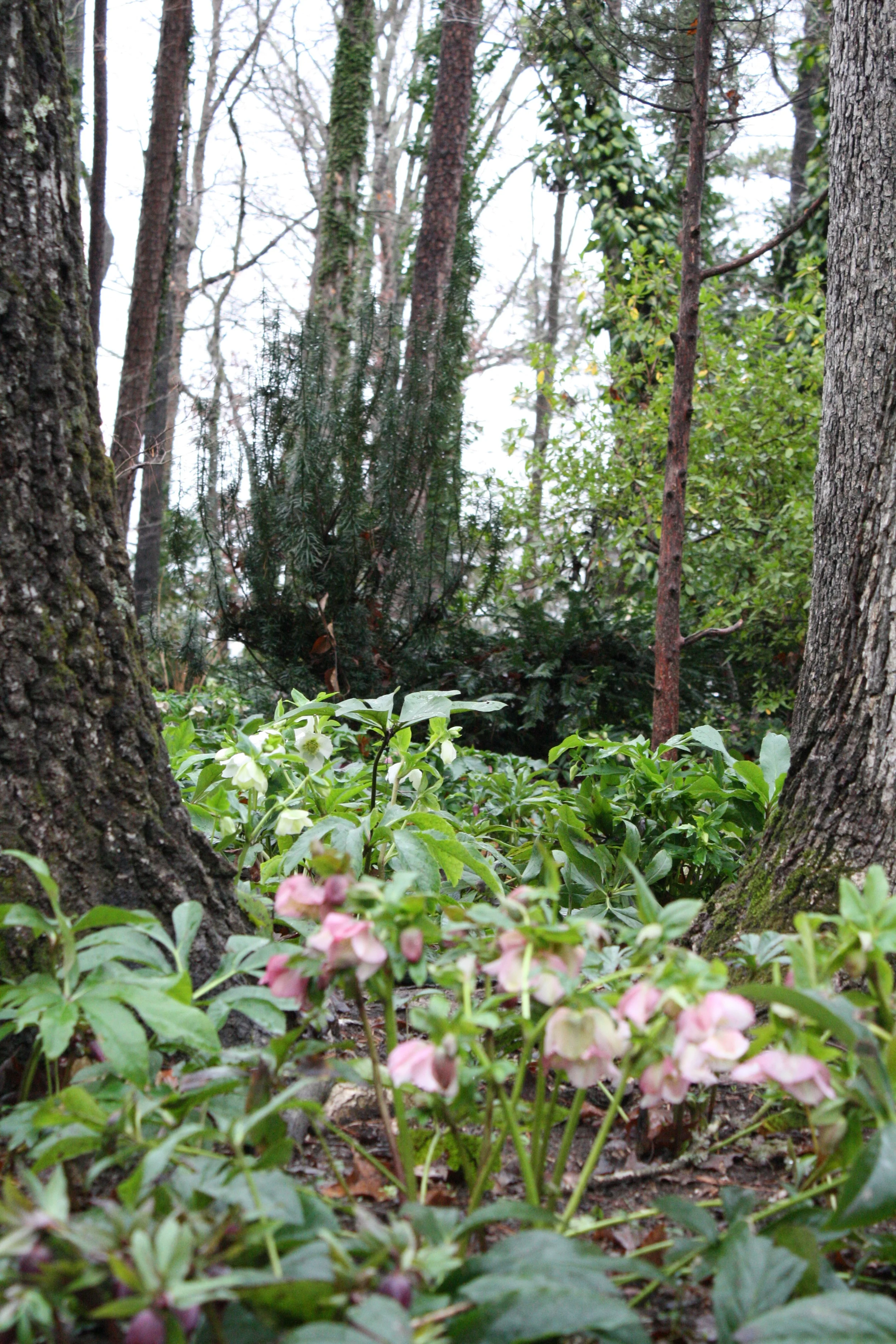 IMG_3075.jpg