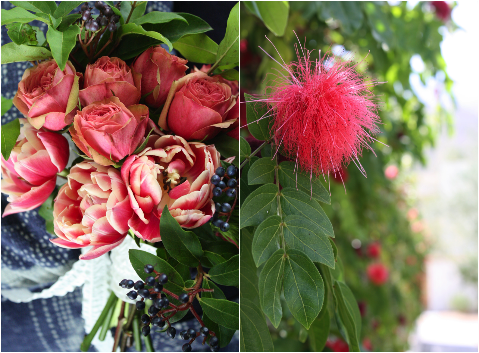Flowerwild Workshop 2013.png