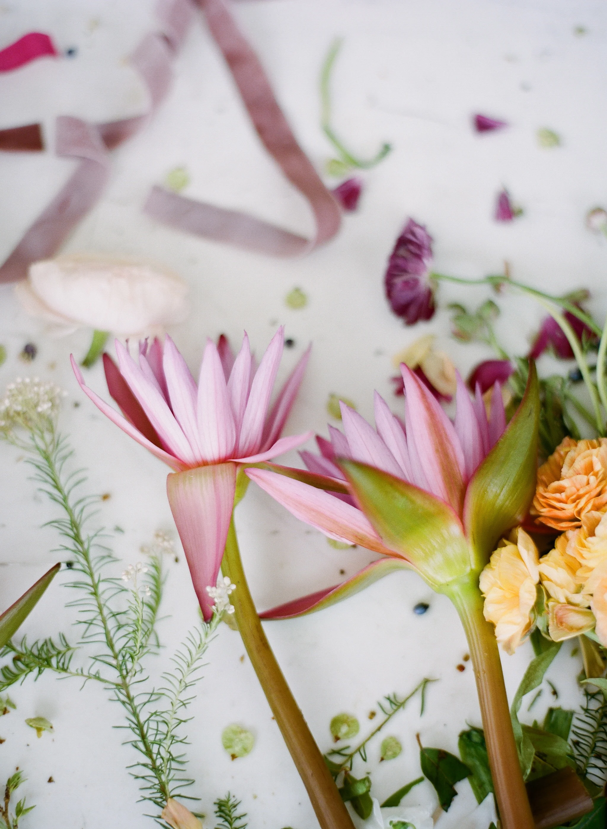 Jose Villa @ Flowerwild Workshops.jpg