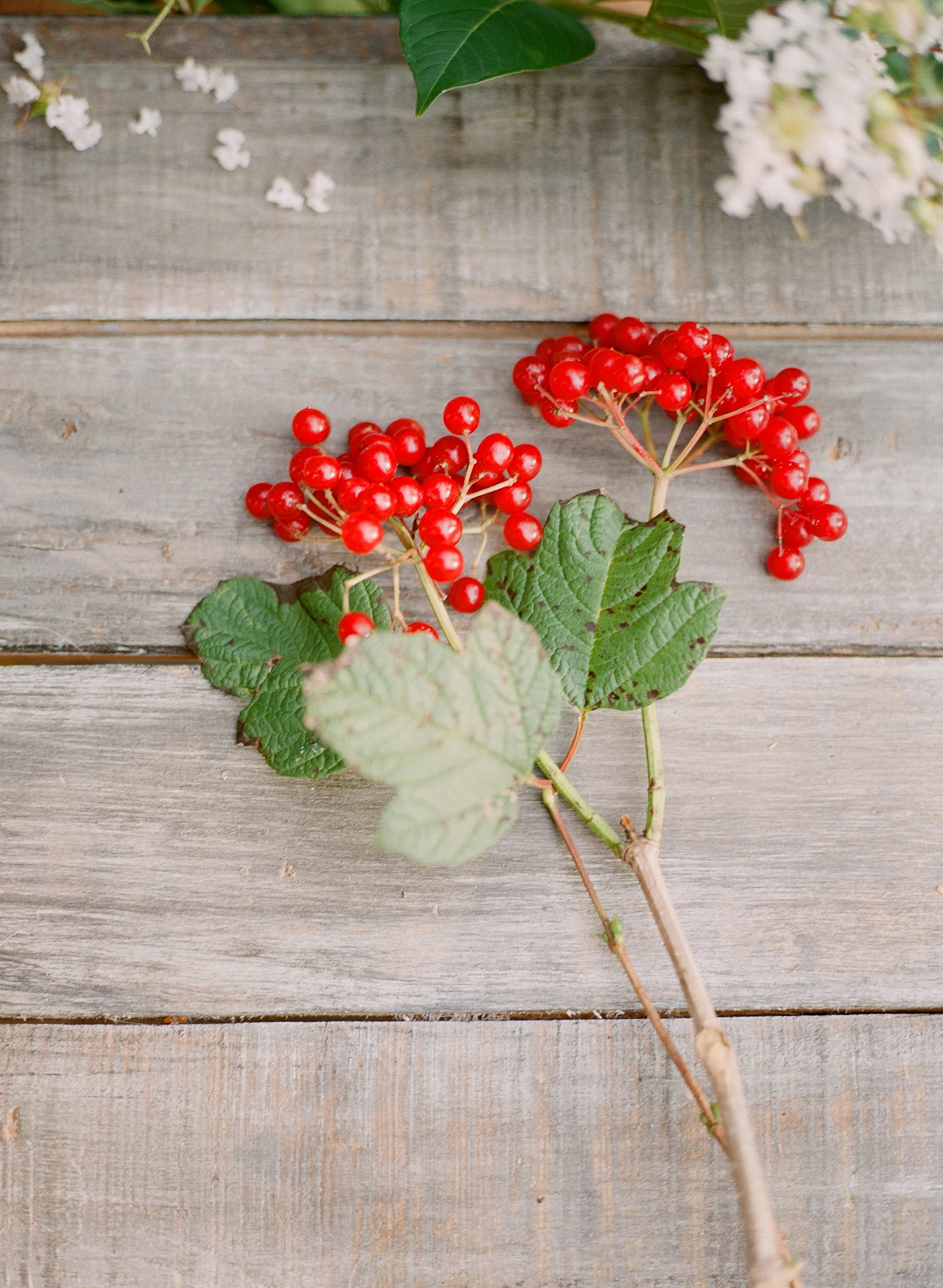 Fall Bouquet Inspiration Philosophy Flowers Heather Payne Photography Charleston SC.jpg
