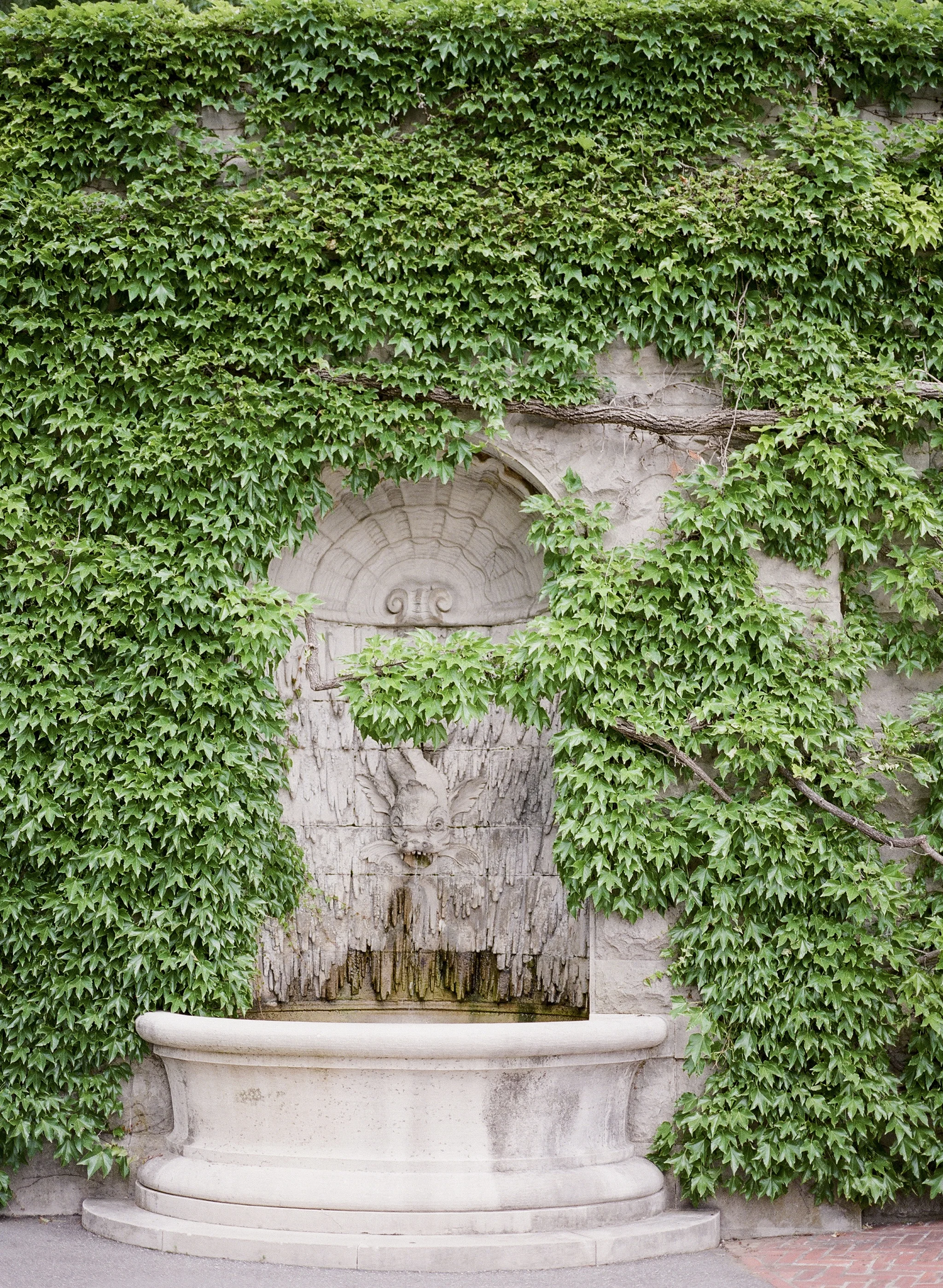 Biltmore Garden 17.jpg