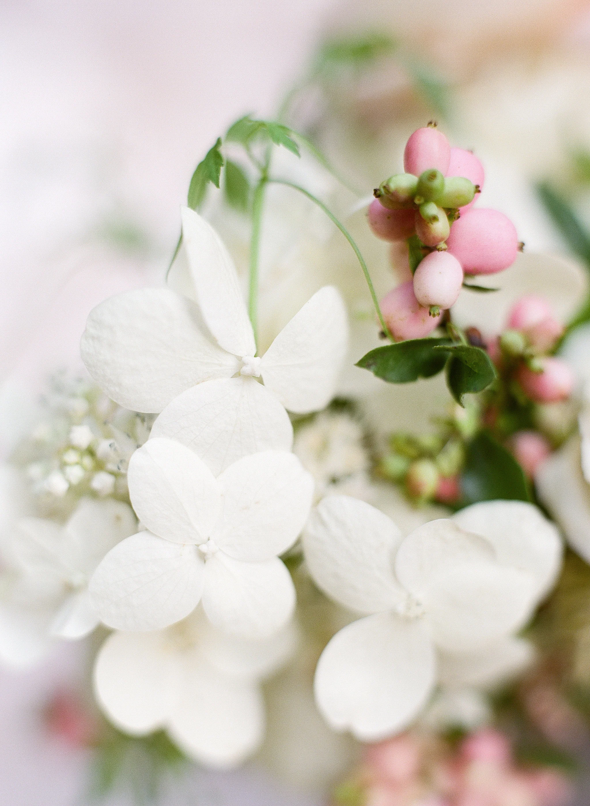 Almond Leaf Studios_Mass_Biltmore10.jpg