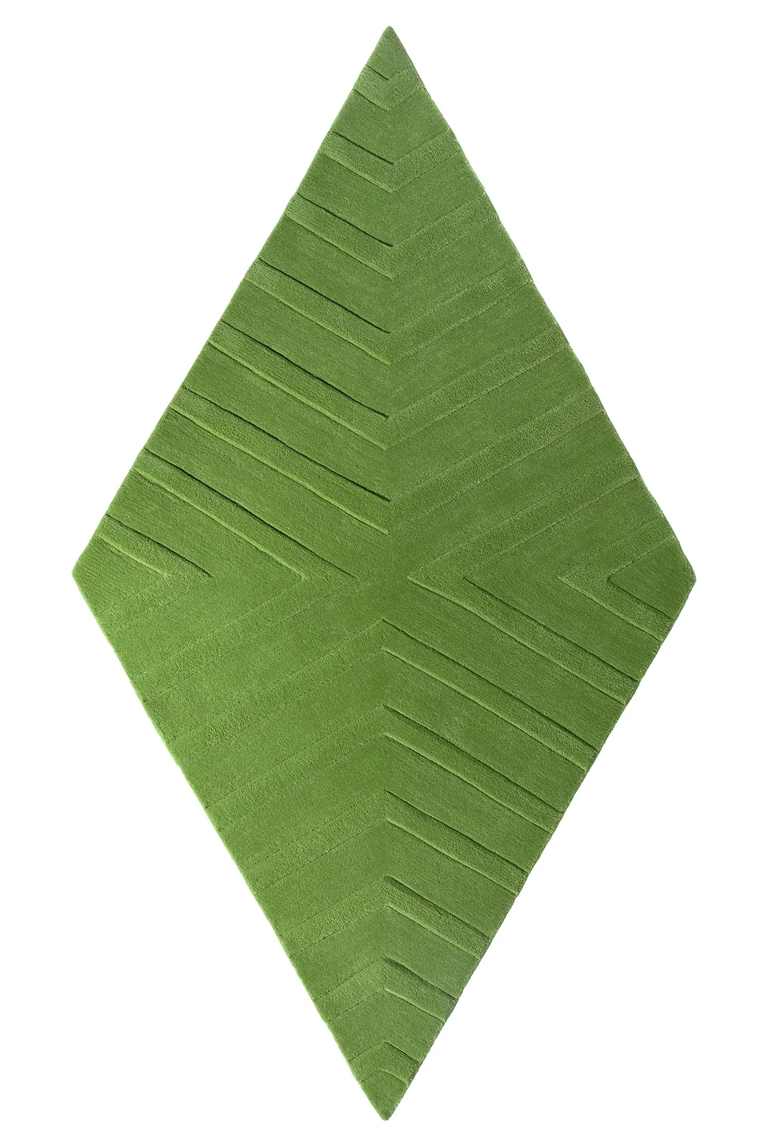 DIA_GRASS_ZEBRA_BLIND.jpg