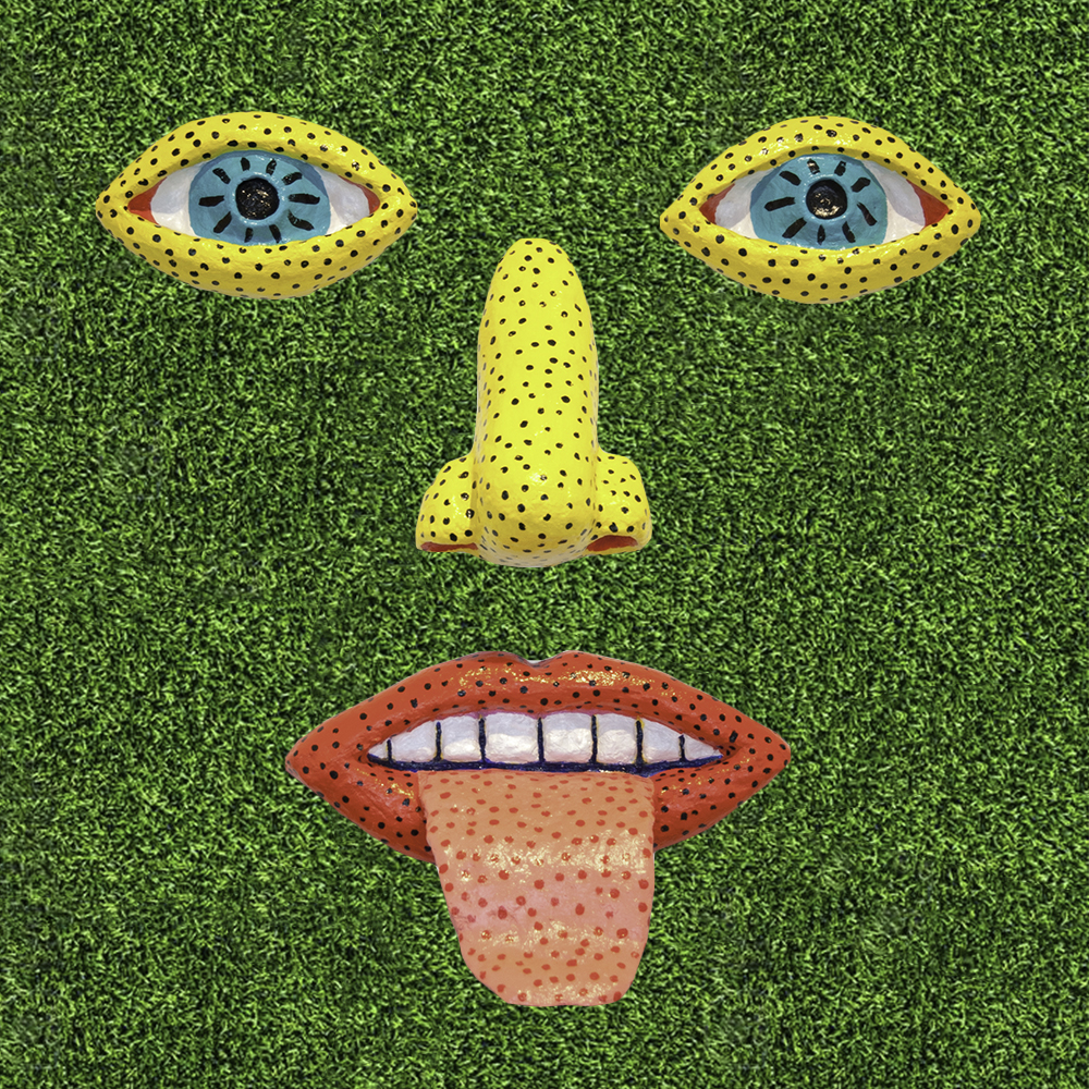 face on turf.jpg