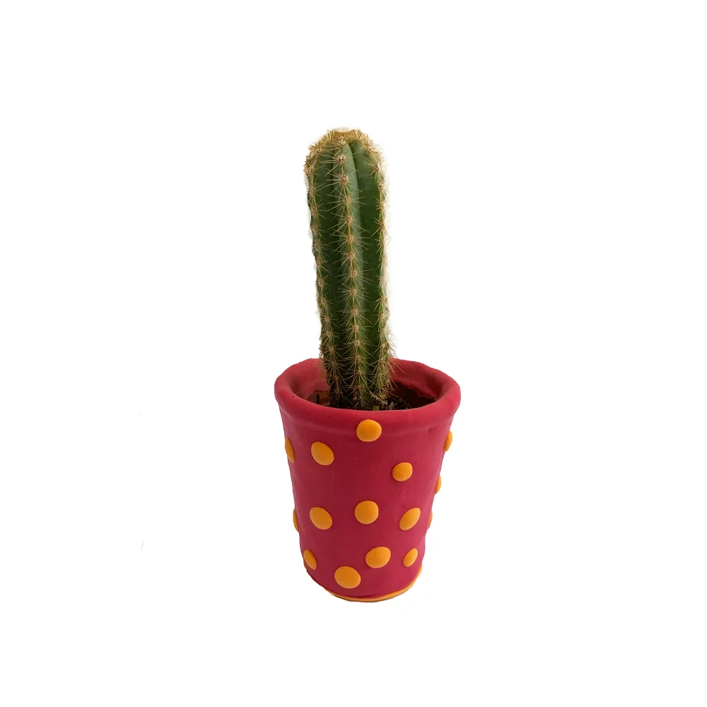 diego_faivre_mini_planter_websquare.jpg