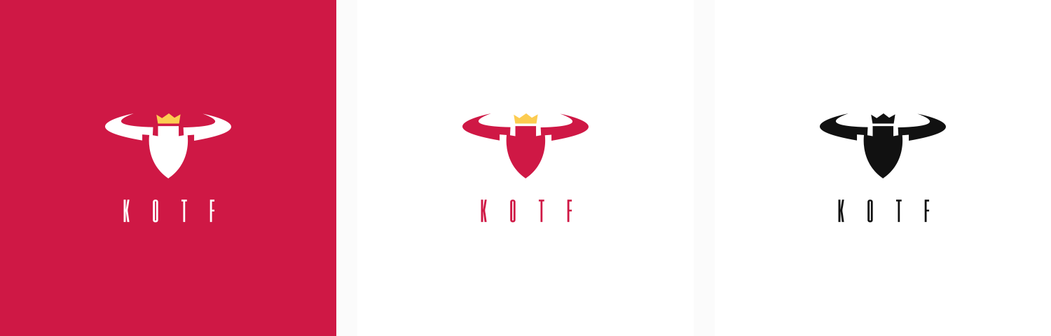  Foundation logo —&nbsp;Derrick Johnson (NFL player w/ K.C.&nbsp;Chiefs) 