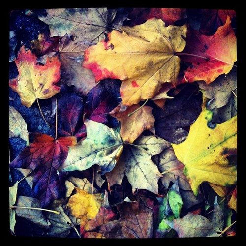 Transient