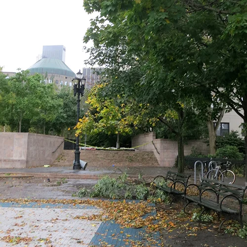 Lot's of trees down after the storm.