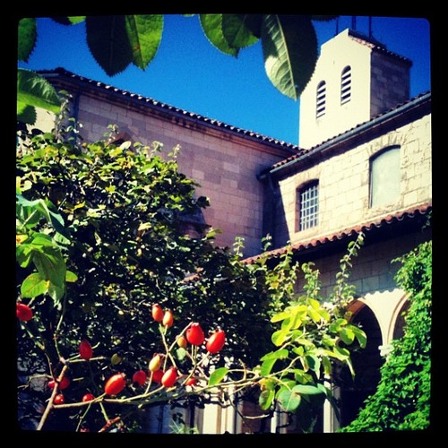 The Cloisters