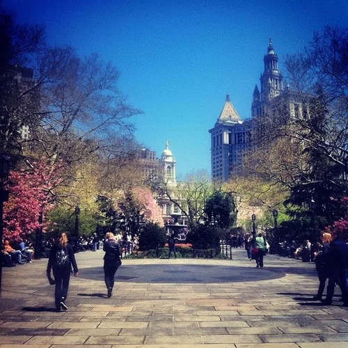 City Hall Park, NYC