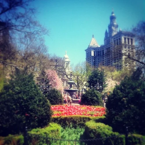 City Hall Park, NYC