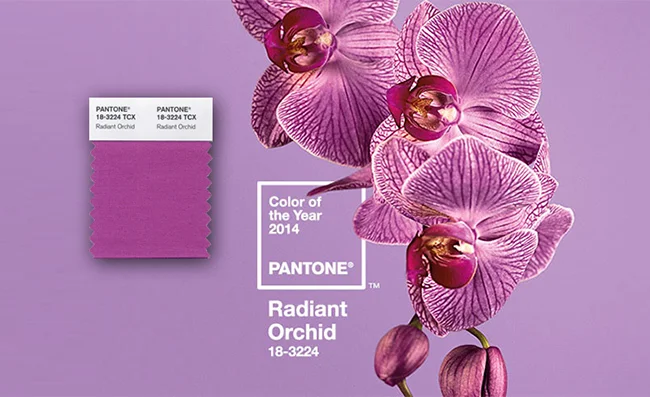 pantone-color-of-the-year-2014-radiant-orchid.jpg