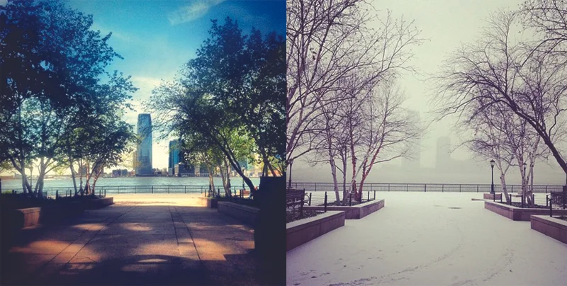 westside-seasons-01.jpg