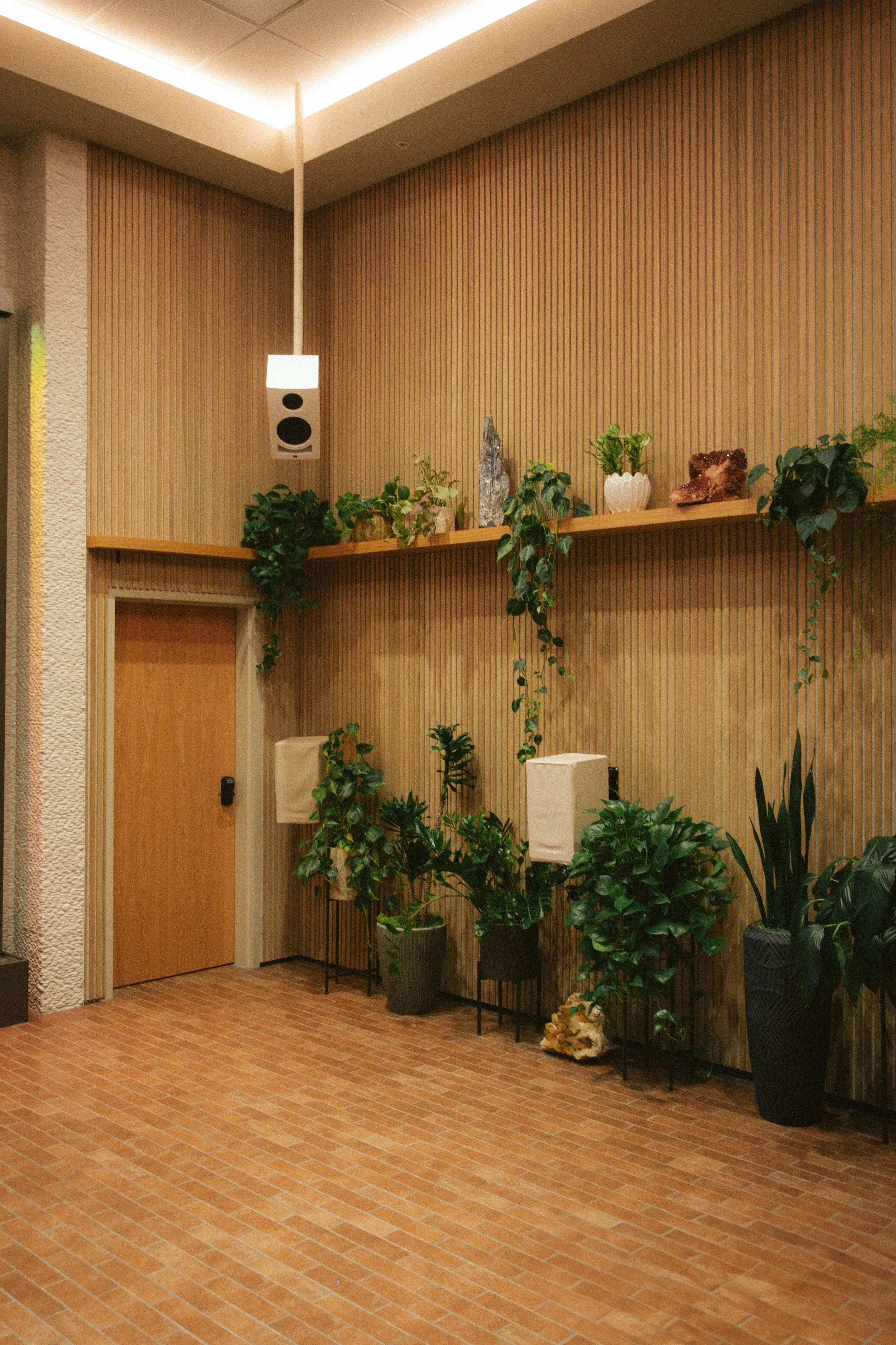 DSCF6964.jpg