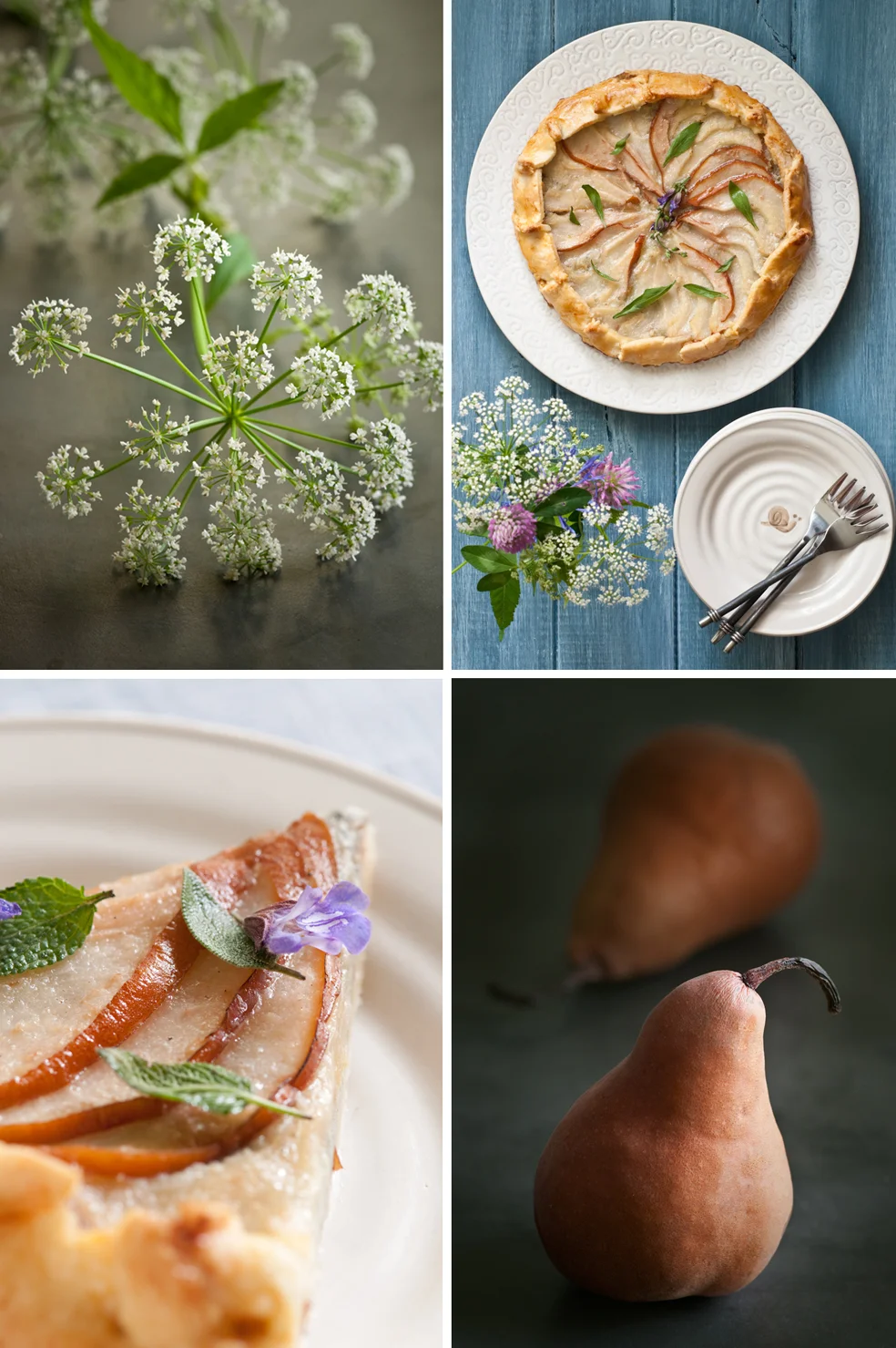 bosc pear galette with blue cheese.