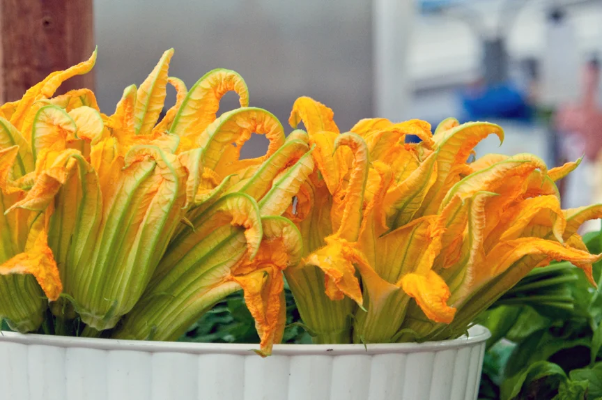 Bunches of Squash Blossoms - Market in San Remo