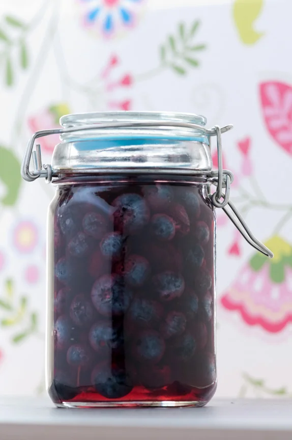 Blueberry Shrubs — Beth Dunham