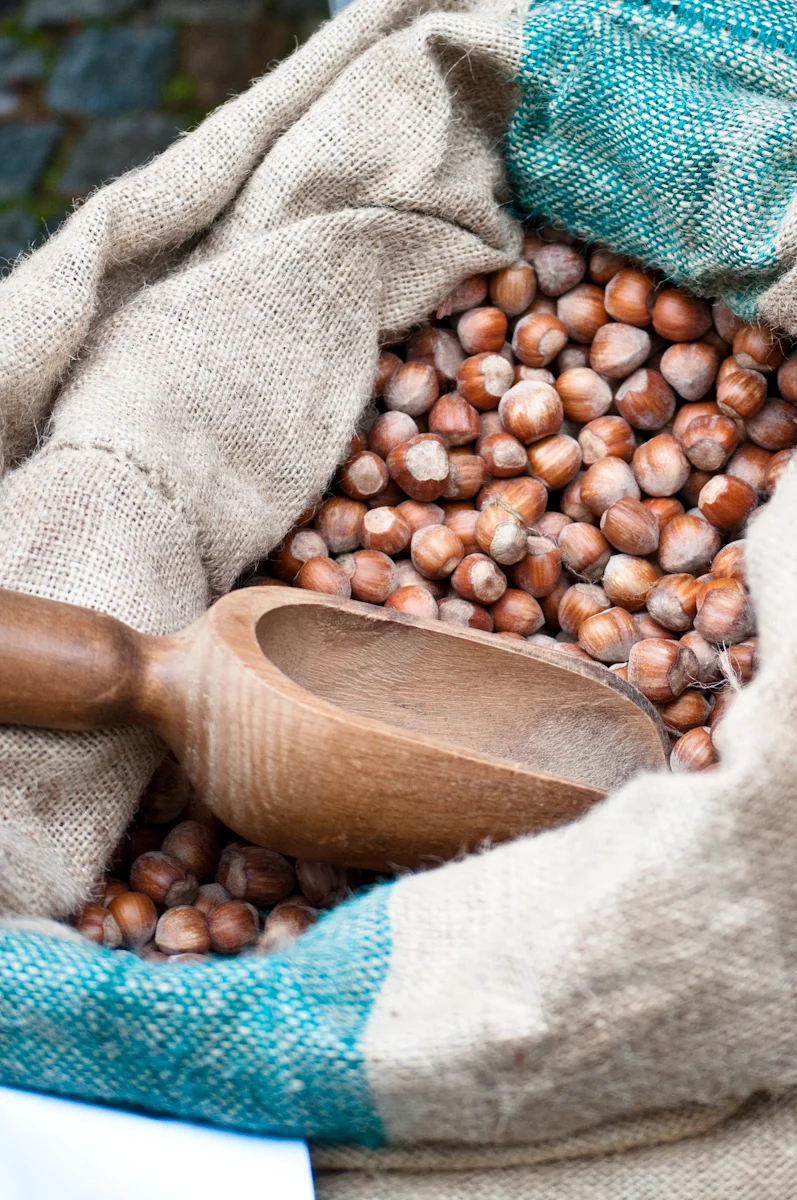 burlap bag of fresh hazelnuts Italian mercato