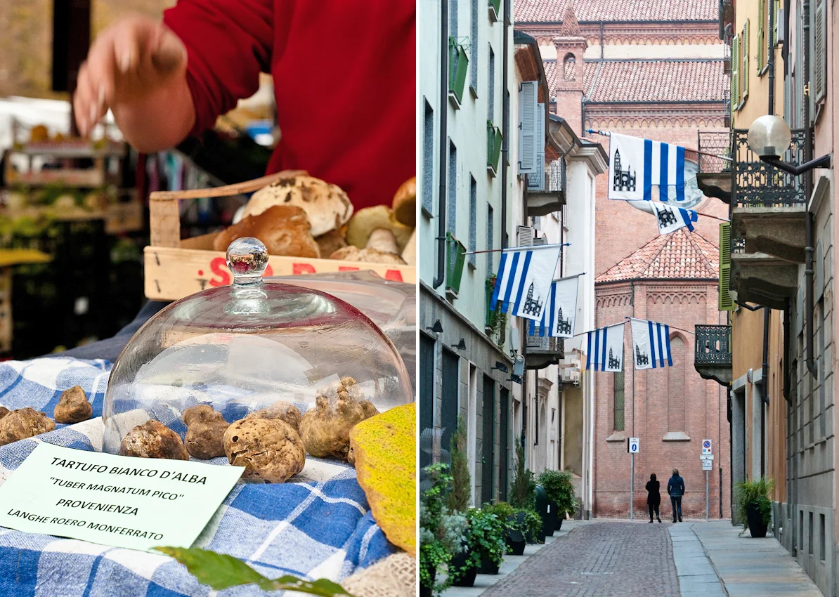 white truffles Alba street