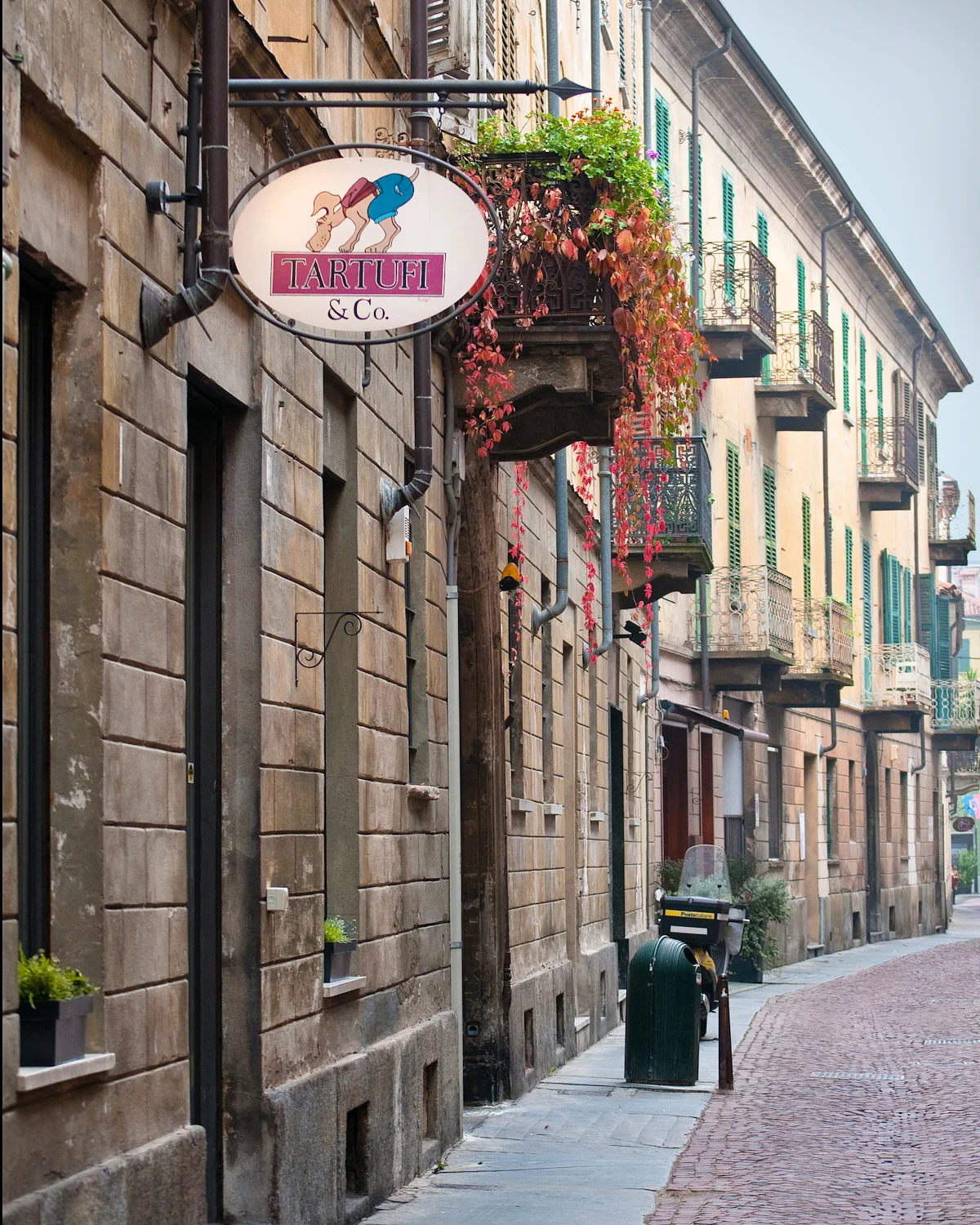 Truffle Shop in Alba