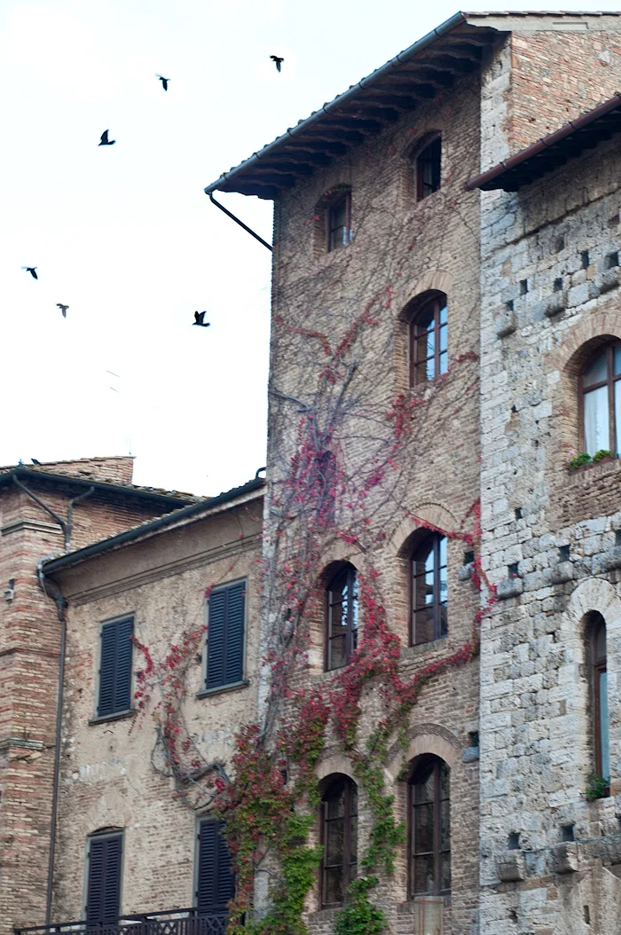San Gimignano windows.jpg