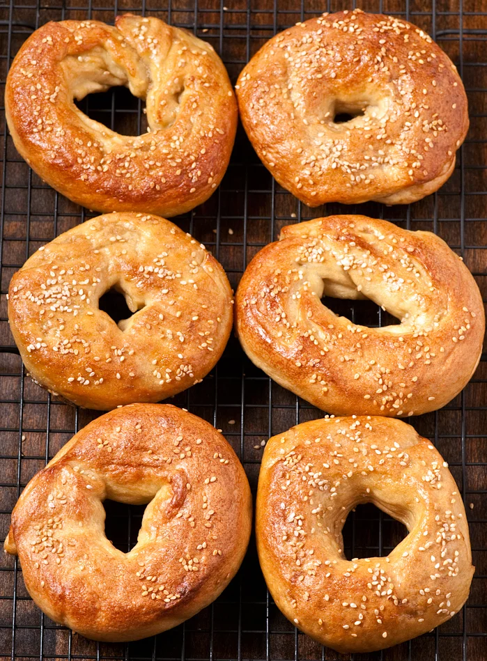Farewell Bagels Lox Beth Dunham