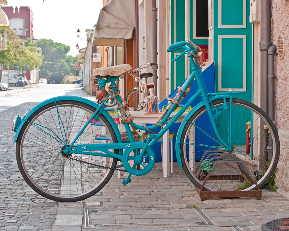 cesenatico bike.jpg