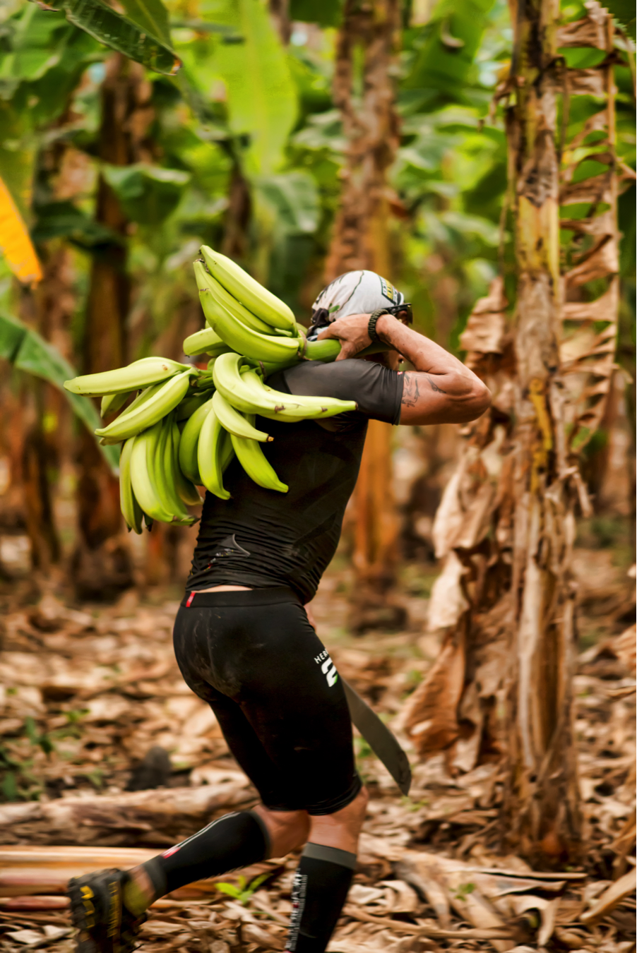 From here the racers headed to a plantain plantation to find there bib number randomly tied to a tree. Once they found their bib they had to harvest the bunch of plantains from that tree.
