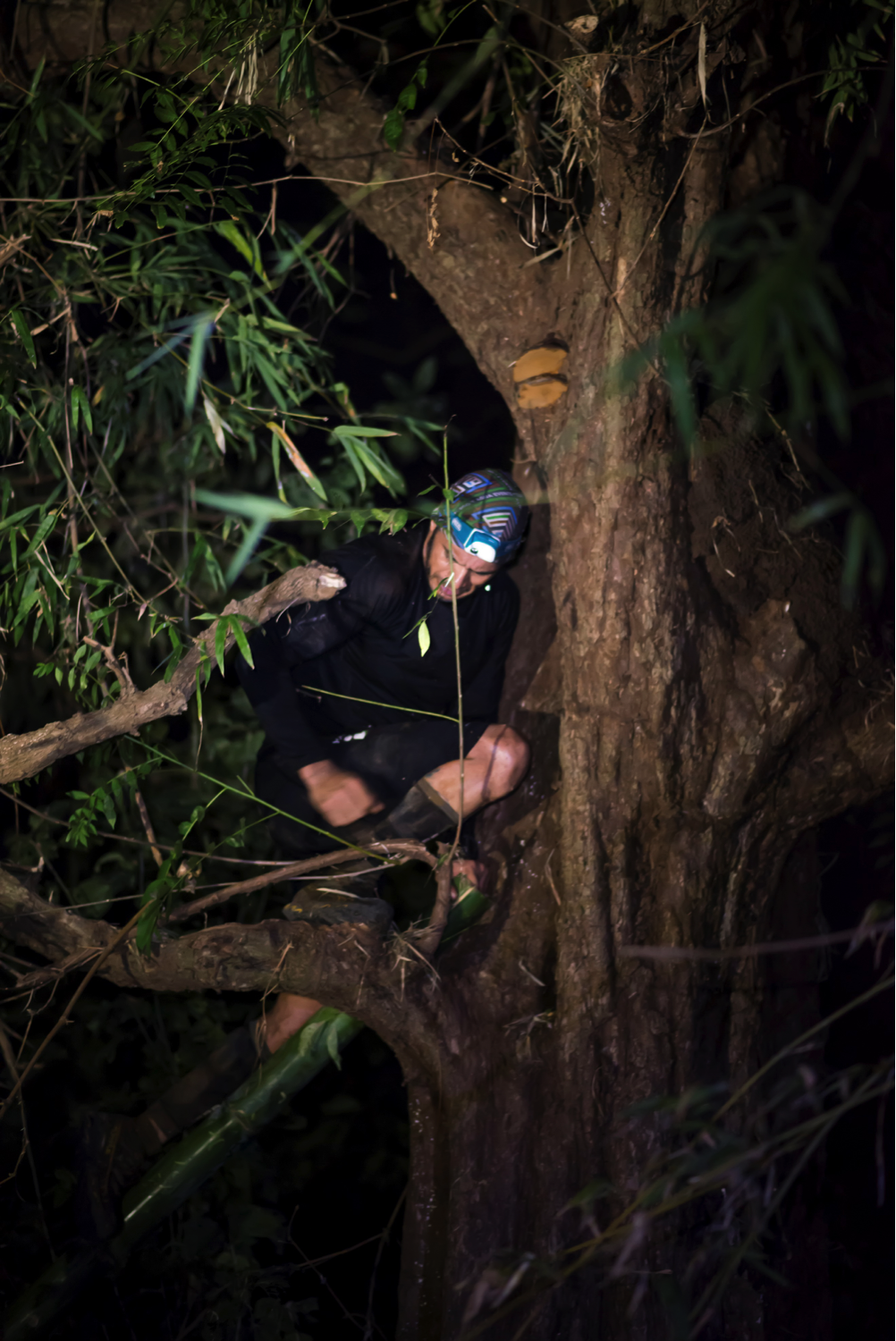 After this challenge they had to cut down a large piece of bamboo with a hacksaw blade and use the bamboo to climb a tree.