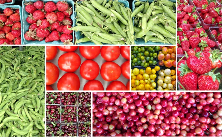 union square green market.jpg